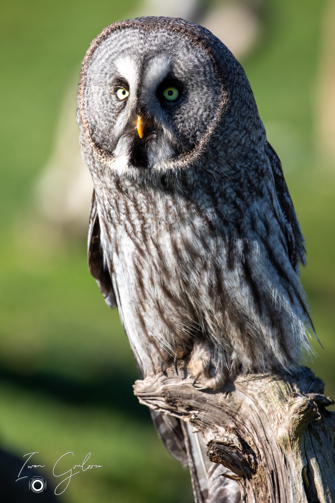 18 april 2022 095202  5D46435